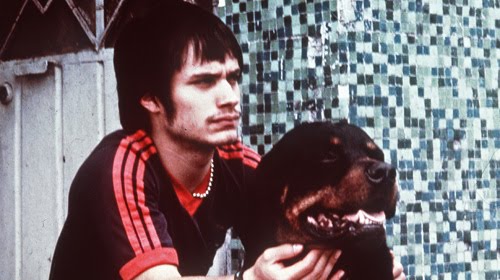 amores perros dog. Amores Perros flashed on