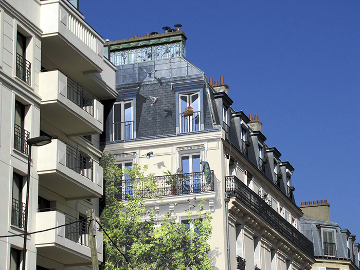 French Artist Transforms Boring City Walls Into Vibrant Scenes Full Of Life - L’arbre aux oiseaux