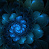 Blue Flower Vector Free Hd Wallpaper