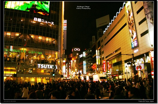 Shibuya3