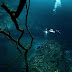 Σπάνιο φαινόμενο: Ποτάμι και δέντρα... κάτω από τον ωκεανό [video] 