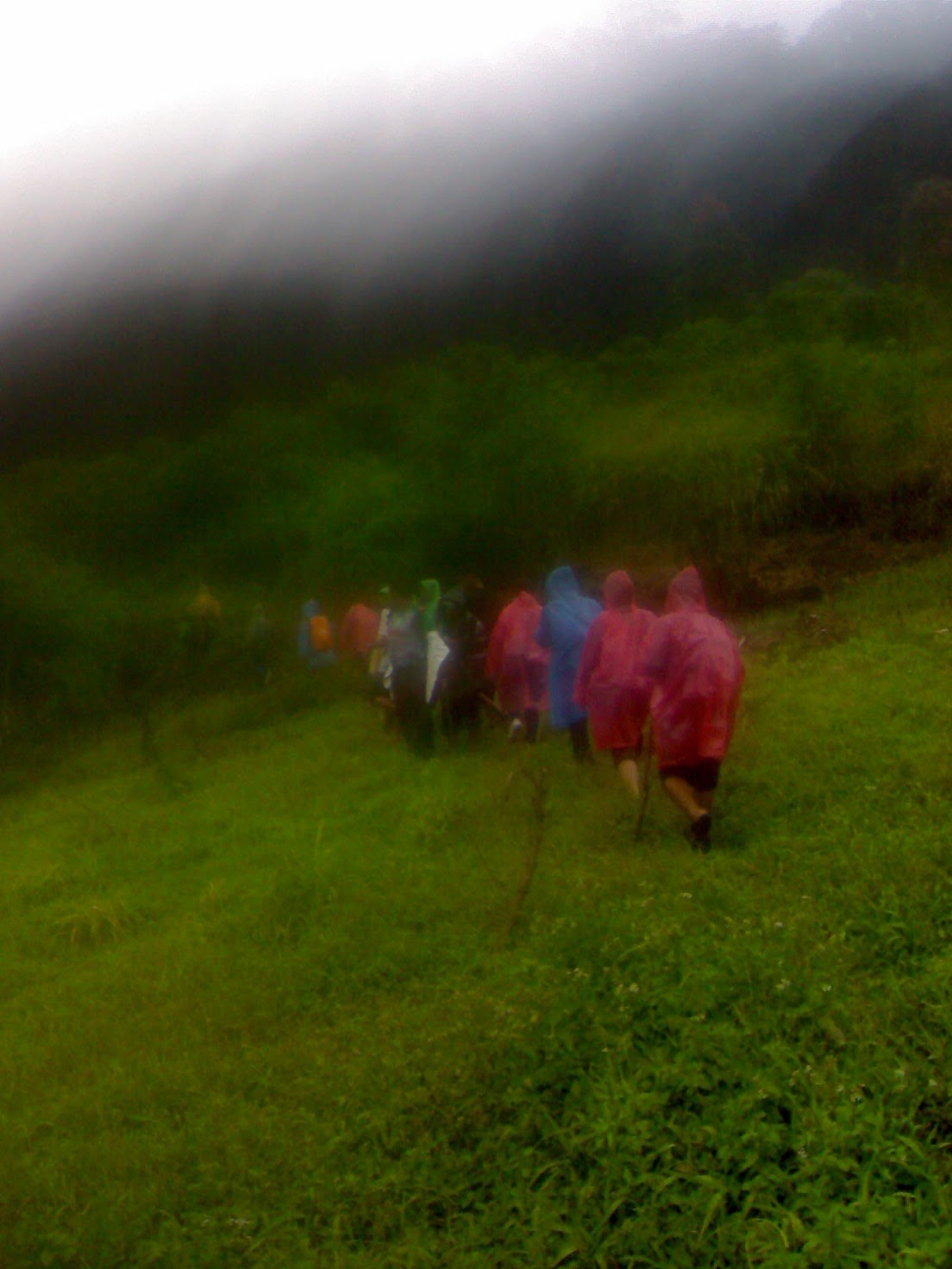 Trekking di kaki Gunung Slamet