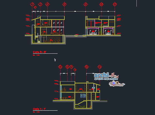 Residence Puebla Mexico in AutoCAD 