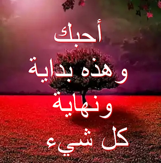 كلمات رومانسية صغيرة لإعلان حبك