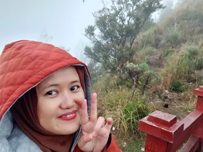 di bromo