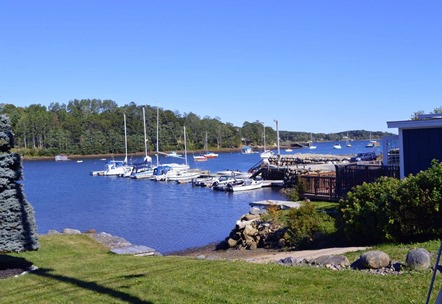 Nova Scotia 37