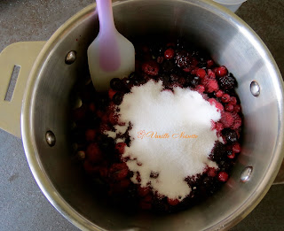 BAVAROIS VANILLE/FRUITS ROUGES mousse fruits rouges