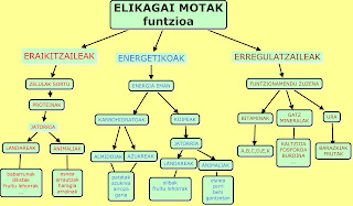 Resultado de imagen de ELIKAGAI MOTAK