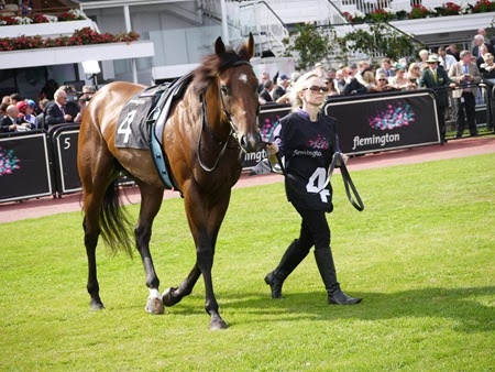 race 7 _thunder fantasy 1