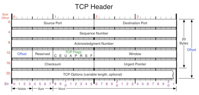 Image result for header tcp adalah