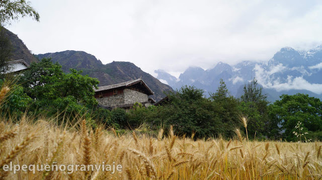 trekking, hiking, tiger leaping gorge, lijiang, shangri la, china, ruta, senda, informacion, costos 