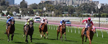 race 4_finish