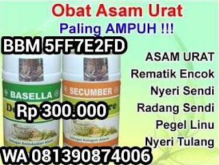 Mengobati Asam Urat