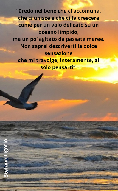 poesie di Stefano Ligorio, amore, dolcezza, amare, innamorarsi, innamoramento, innamorati, sentimento, legame, rapporto, relazione, coppia, uomo e donna, tradimento, ignoranza emotiva, intelligenza emotiva, stupidità, idiozia, viltà, vigliaccheria, codardia, morte, vita, il bene e il male, la malvagità, la cattiveria, la bontà