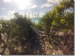 GOPR0018