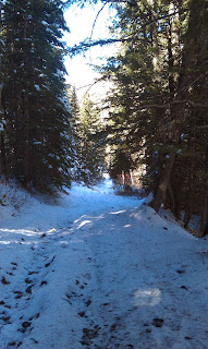 Mineral Fork Trail