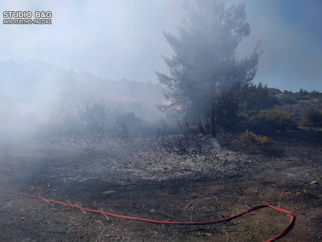 Ερμιονίδα: Πυρκαγιά στην Πετροθάλασσα - Άμεση επέμβαση της πυροσβεστικής και του Δήμου