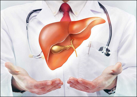 Liver disease, Liver failure, Liver transplant, Liver Health, Ayurvedic treatment for liver disease