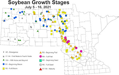 Map of Minnesota and North Dakota indicating growth stages of soybeans in scouted fields