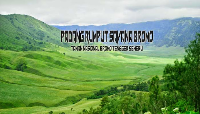 Padang Rumput Savana Bromo