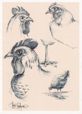 chicken drawing, sketch