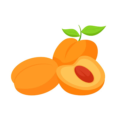 70+ Cartoon images of Apricot fruit