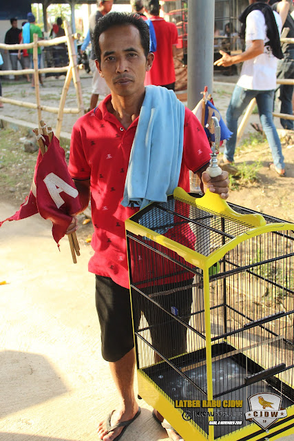 Mr.Sogol Bersama Dengan Cucak Ijo Pipin