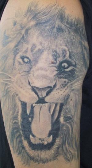 rasta tattoo. Lion tattoo done by Travis st Brainstorm Tattoo in 