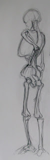 Skeleton Study