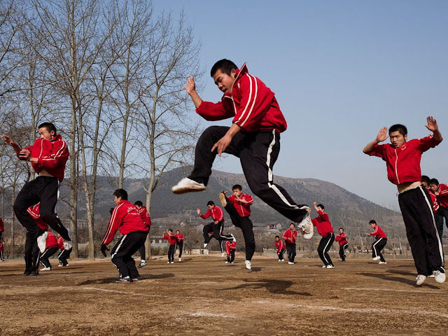 Picture of the day - martial arts