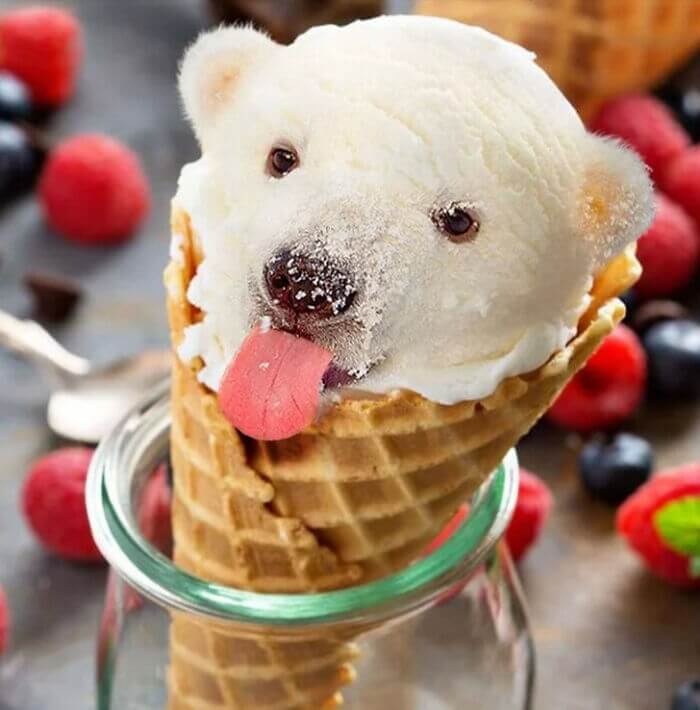 07-Polar-Bear-and-Ice-Cream-Cone-Photoshop-Animals-Famous-www-designstack-co