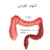 التهاب القولون وطرق الوقاية و العلاج منه 