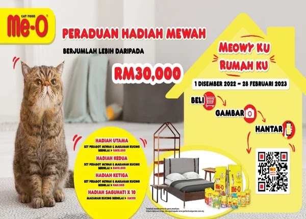 5 Kebaikan Memelihara Kucing Si Meowy Sebagai Teman Baik