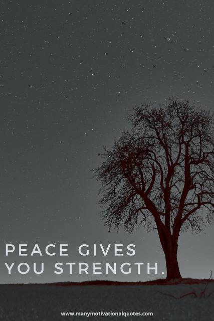 Why is peace is so important to have in your life?