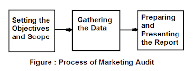 Process of Marketing Audit