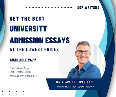 Admission Essay Writers