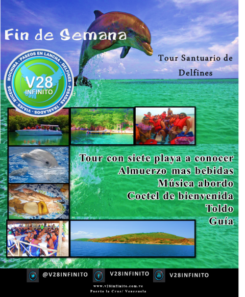 Tour Santuario de Delfines