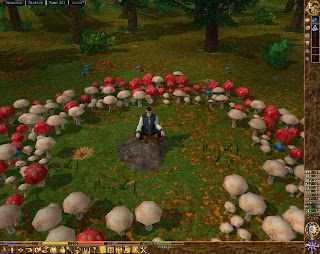 Eternal Lands is a FREE MMORPG (massively multiplayer online role playing game) currently under development. The game is now in Beta stage, but that doesn't mean it's incomplete. It's currently fully playable and we are constantly working on adding more things to do, more items to make, monsters to fight, and also improving the current systems. If you want to help us in any way, take a look in our forums and there you can post your ideas/suggestions, or perhaps even get involved with programming or mapmaking which we can always use help with!