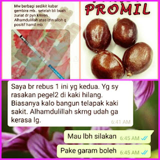 Testimoni Buah Zuriat Promil