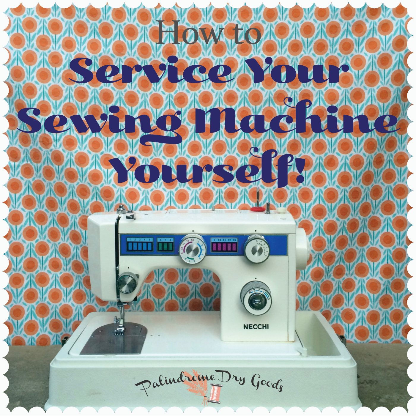 How to Service Your Sewing Machine Yourself: A Tutorial - Palindrome Dry  Goods