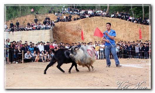 Cảnh Đẹp Việt Nam