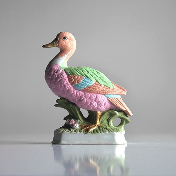 Pastel Duck