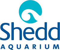 Shedd Aquarium in Chicago Review