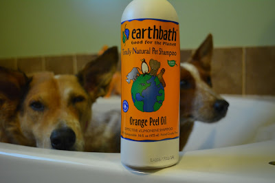 orange dog shampoo