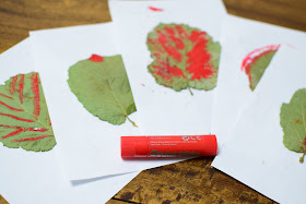 PARTS OF A LEAF Study for Kids: HANDS-ON IDENTIFICATION