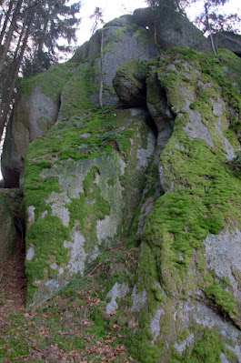 Bilder aus dem Wald: große Granitsteine sind teilweise von Moos überzogen.