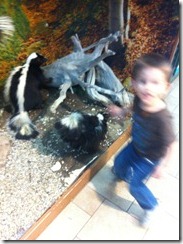 IMG_2600[1]