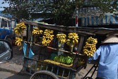 IMG_9964