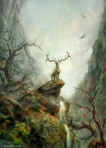Stag Signs And Their Co Efficient Varietals