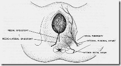 clip_image077